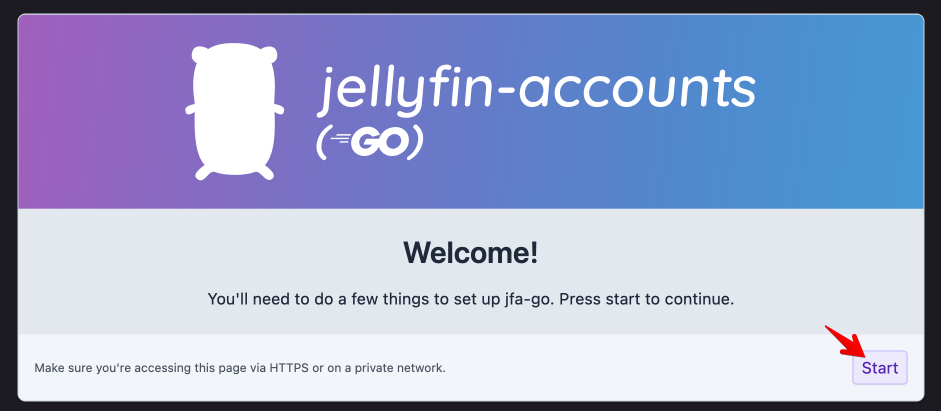 Jellyfin Accounts - Starting Setup