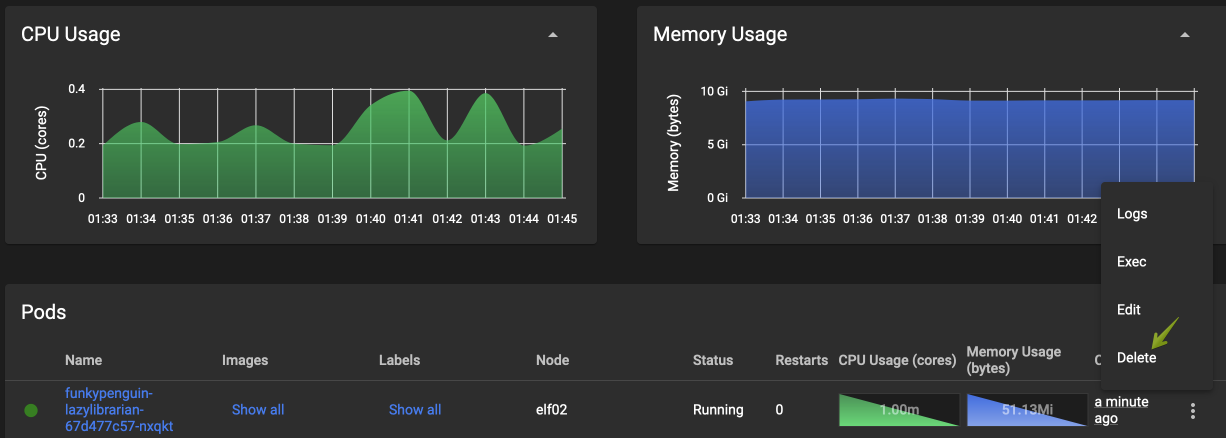 Screenshot illustrating deleting a pod